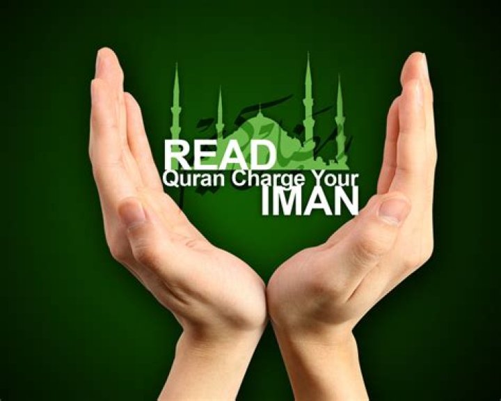 حكم ذيح الأضاحي ليلا - إسلام ويب - مركز الفتوى