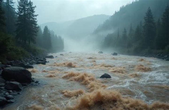 شركة Rapid Current للنقل البري من وإلى جميع أنحاء المملكة المتحدة