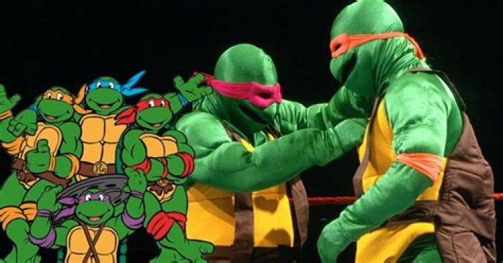 30 Years Ago the Toxic Turtles Made WWE Debut