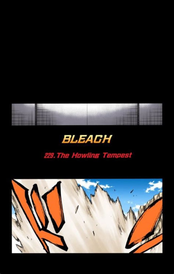 Bleach - 229 - Large 03