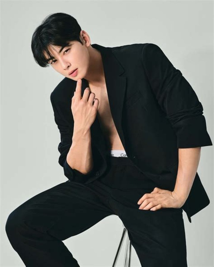Cha Eun Woo 4 Look Alike Celebrities LOVEKPOP95