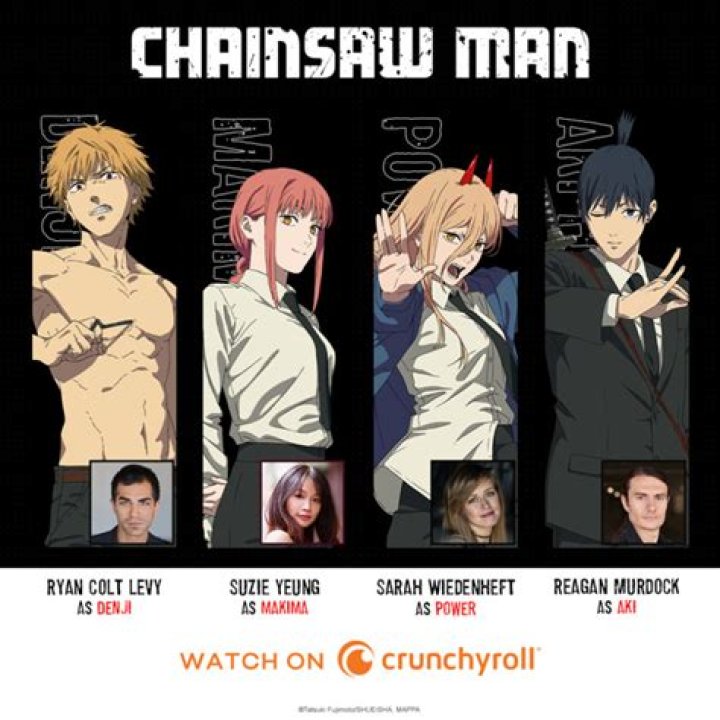 Chainsaw Man's Dub Actors Recommend More Obscure Anime Greats