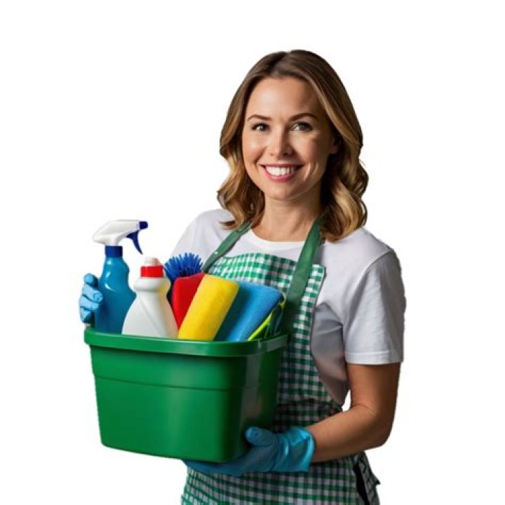 Cleaning Services Girl, HD Png Download Original Size PNG Image