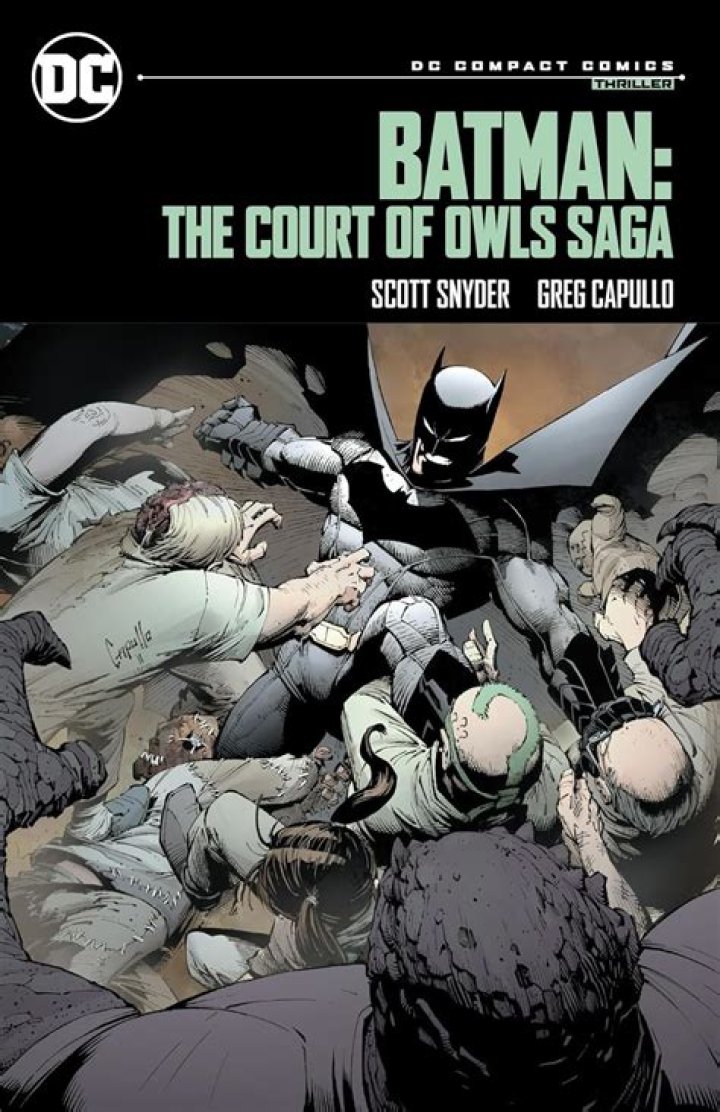 Court of Owls Batman Adventure Continues Court of Owls Batman Adventure Continues