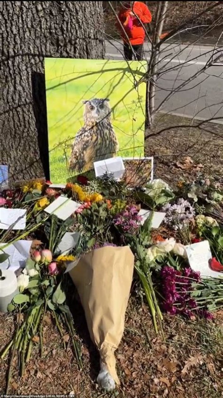 Death of beloved New York City owl, Flaco, in apparent building collision devastates legions of fans