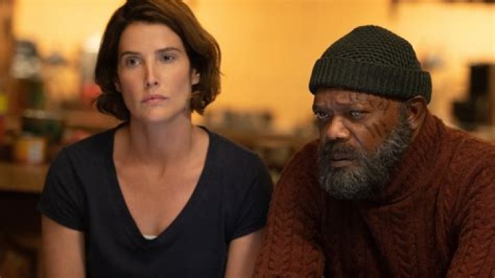 Did Maria Hill Know Who Killed Her? Cobie Smulders Weighs In