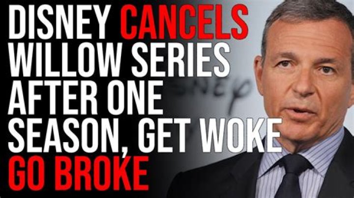 Disney+ Cancels Series From Oscar Winners After One Season