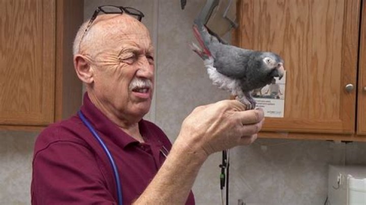 Dr. Pol, de beroemdste dierenarts ter wereld &ldquo;Ik kan niet meer normaal