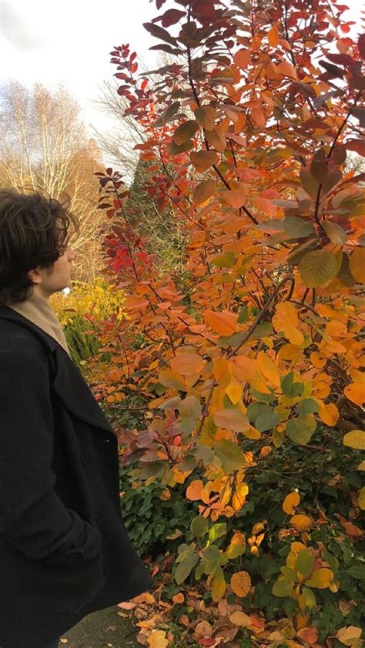 Elijah Hewson in London, November 2020