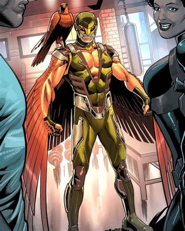 Falcon New Costume First Look