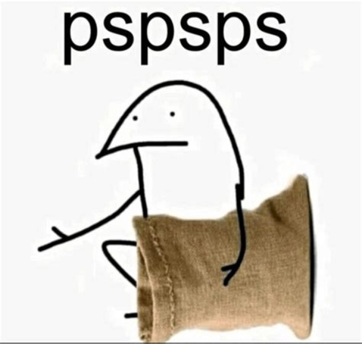 get in the bag meme
