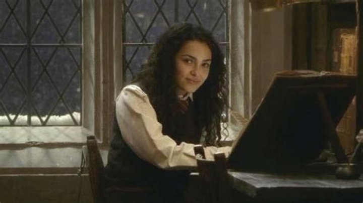 Gryffindor House Members Ranked By Likability