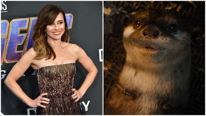 Guardians of the Galaxy Vol. 3 Director James Gunn Reveals Lylla Test Footage With Linda Cardellini