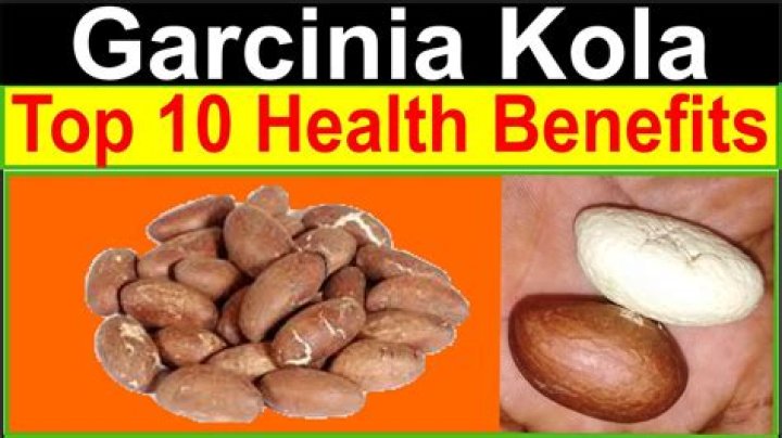 Health Benefits of Garcinia kola Terraskills Professional Training