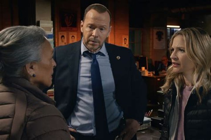 Here's How Blue Bloods Fans Really Feel About Paula Hill
