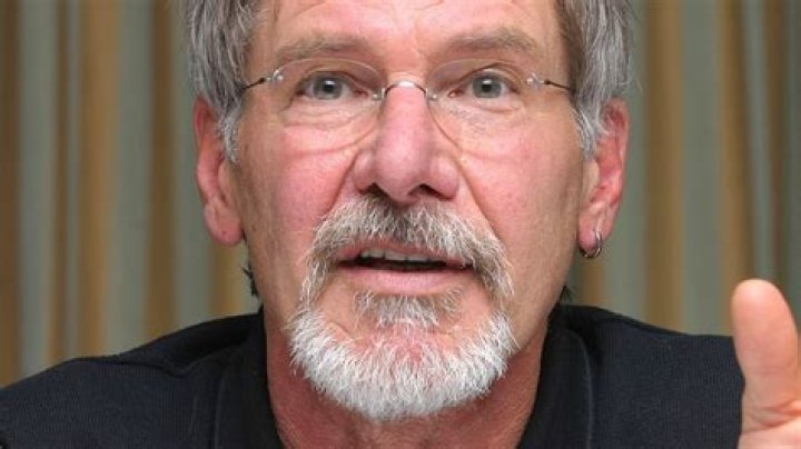 How Harrison Ford Helped To Save Anne Heche's Career After It Took A Major Hit