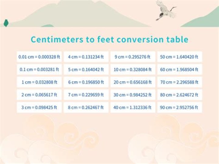 How Tall Is Ice Spice In Centimeters?