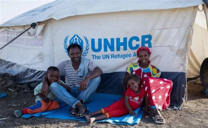 Hundreds of refugees find new homes in the Quad Cities