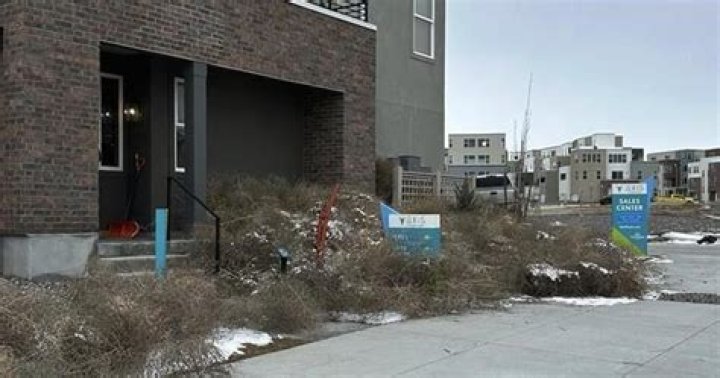 Iconic Old West tumbleweeds roll in and blanket parts of suburban Salt Lake City