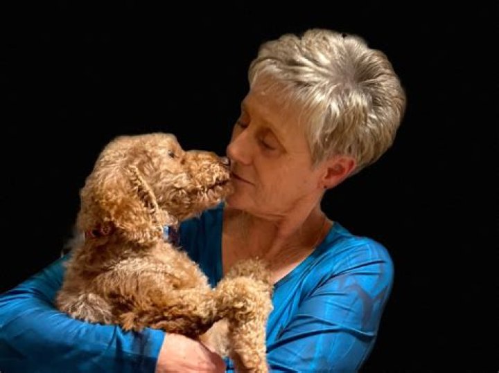 ‘It’s legalized animal abuse.’ Puppy-mill survivors deserve families: advocates