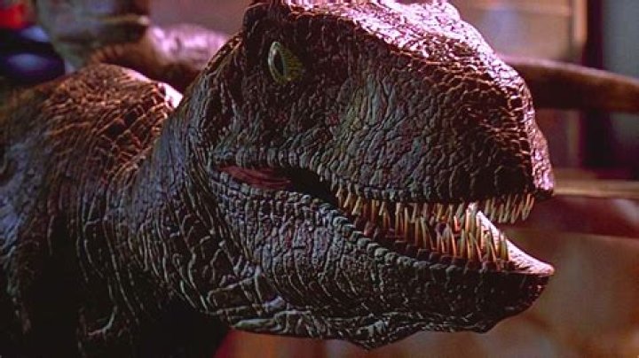 Jurassic Park's Velociraptors Are Completely Wrong According To Science