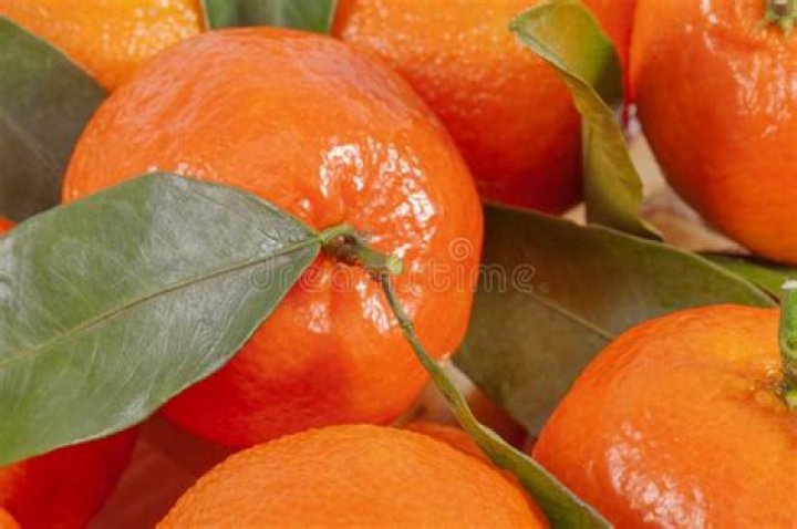 Mandarin