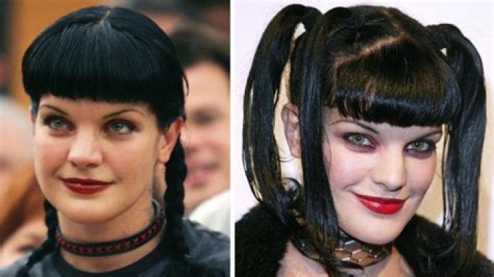 NCIS' Pauley Perrette's Iconic Jet Black Hair Is All Fake
