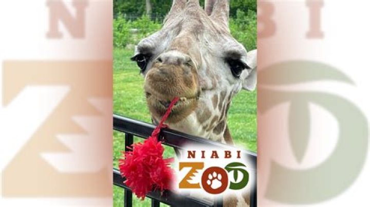 Niabi Zoo says goodbye to beloved animal resident