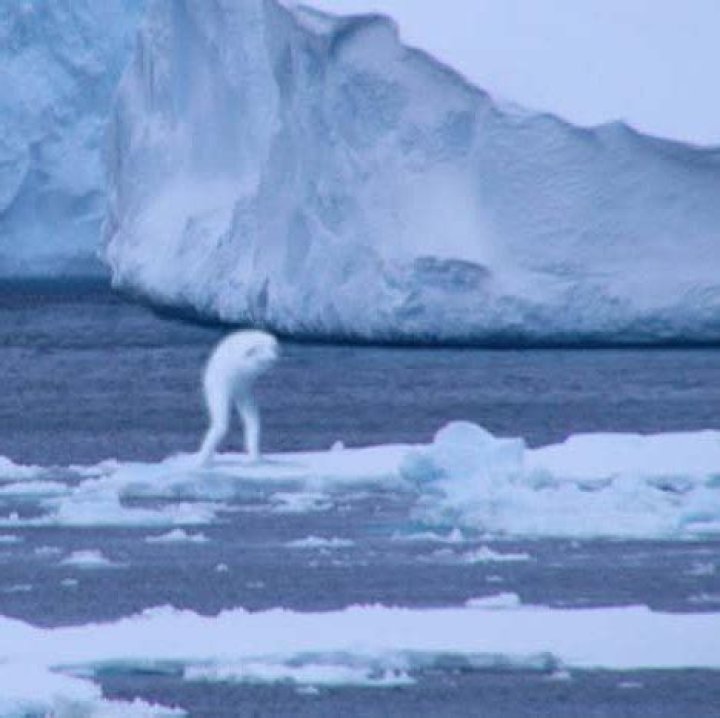 ningen