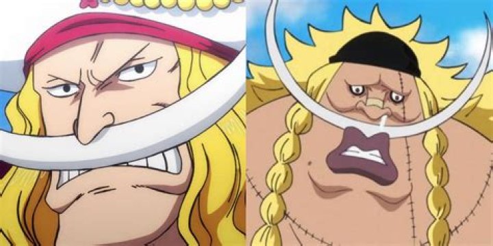 One Piece Gives Update On Whitebeard's 