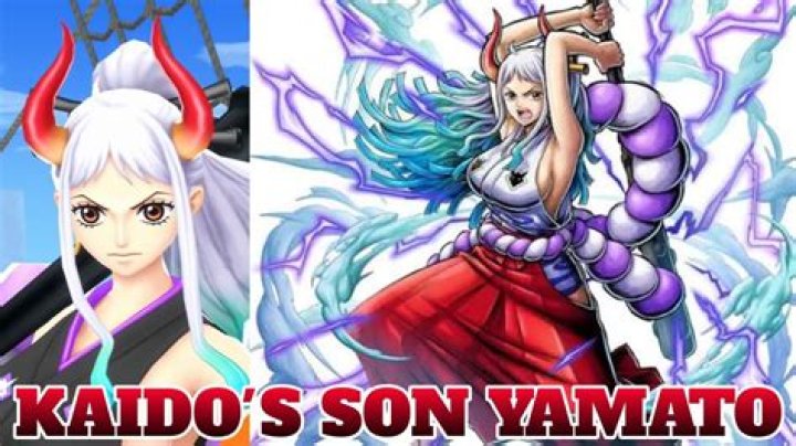 One Piece Reveals a Strange Mission About Kaido's Son