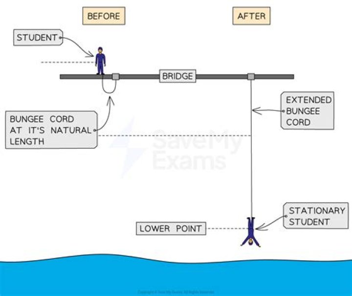 Peter & Rose's Chemistry All Started With A Bungee Jump
