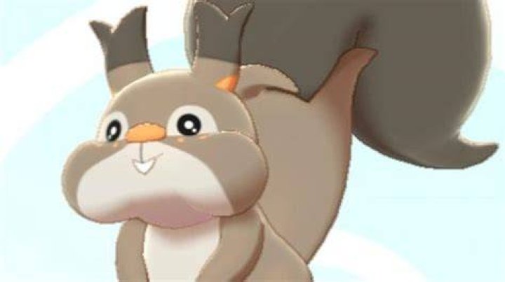 Pokemon Sword and Shield's New Squirrel Pokemon Are a Bane to Berry Collectors