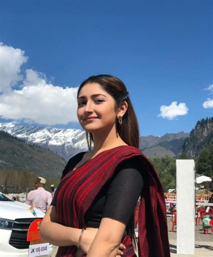 Sayyeshaa Photos [HD] Latest Images, Pictures, Stills of Sayyeshaa