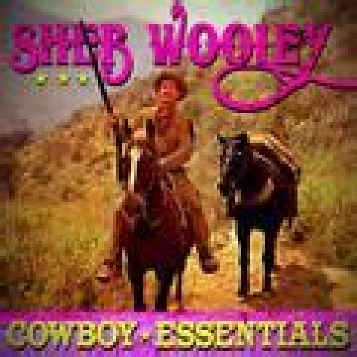 Sheb Wooley iHeart
