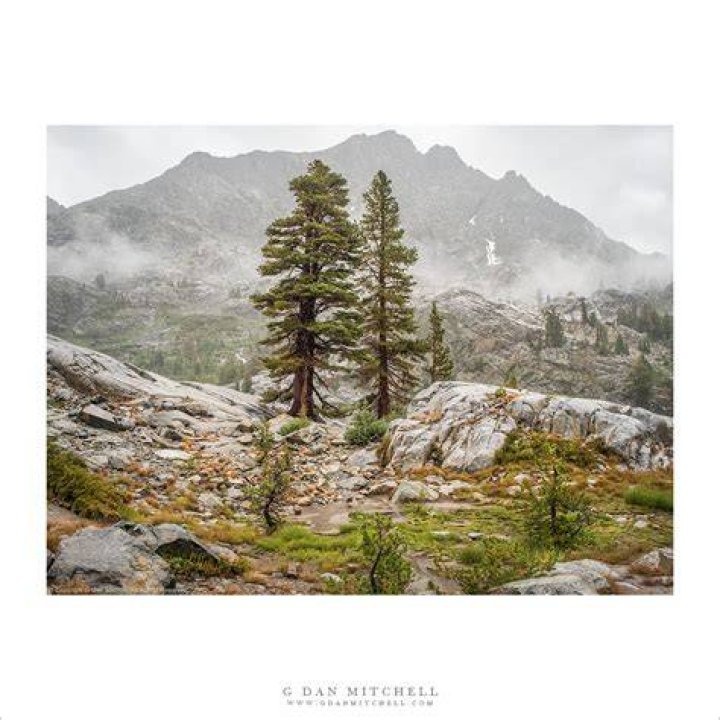 Sierra Rain image