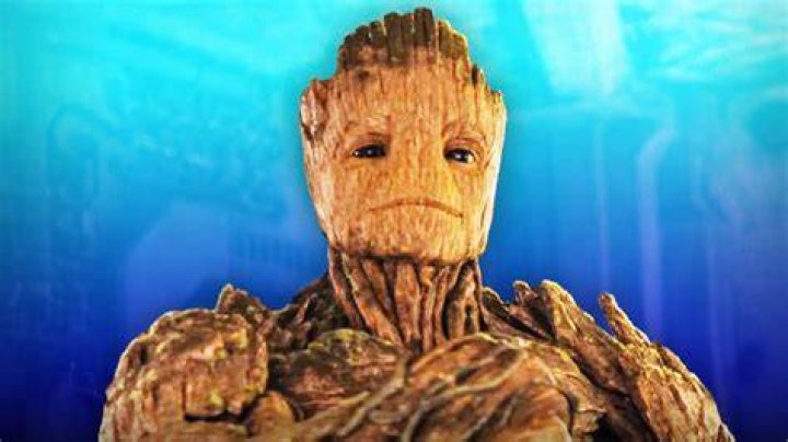 The Adorable Reason Why Vin Diesel Decided To Play Groot