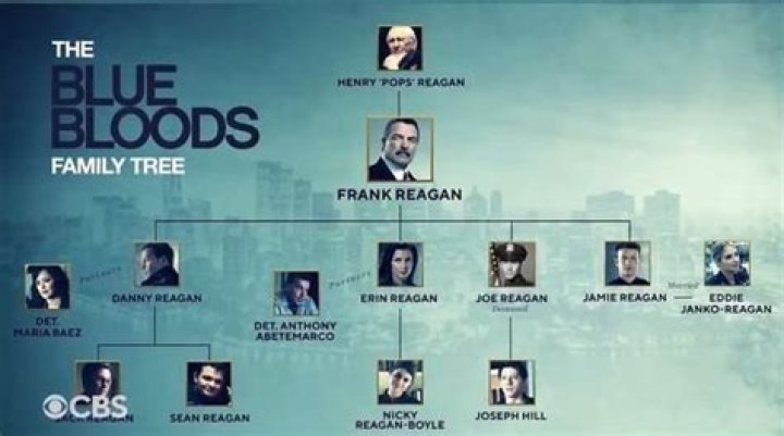 The Blue Bloods Reagan Family Tree Explained