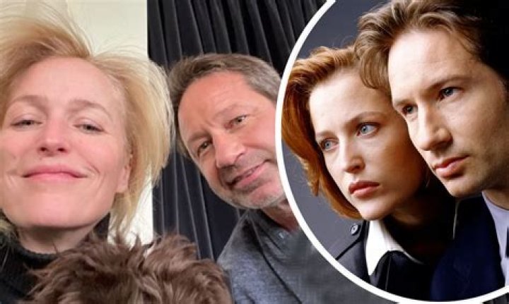 The Controversy Between The X-Files' Gillian Anderson And David Duchovny Explained