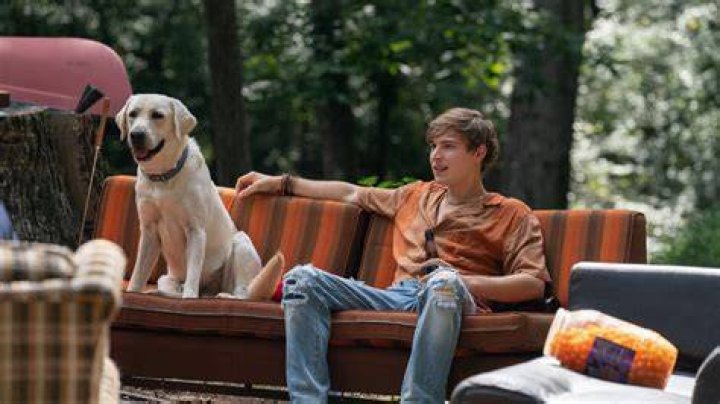 The Devastating True Story Of The Movie Dog Gone