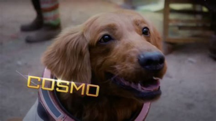 The Guardians Of The Galaxy Holiday Special Trailer Marks The Return Cosmo The Spacedog