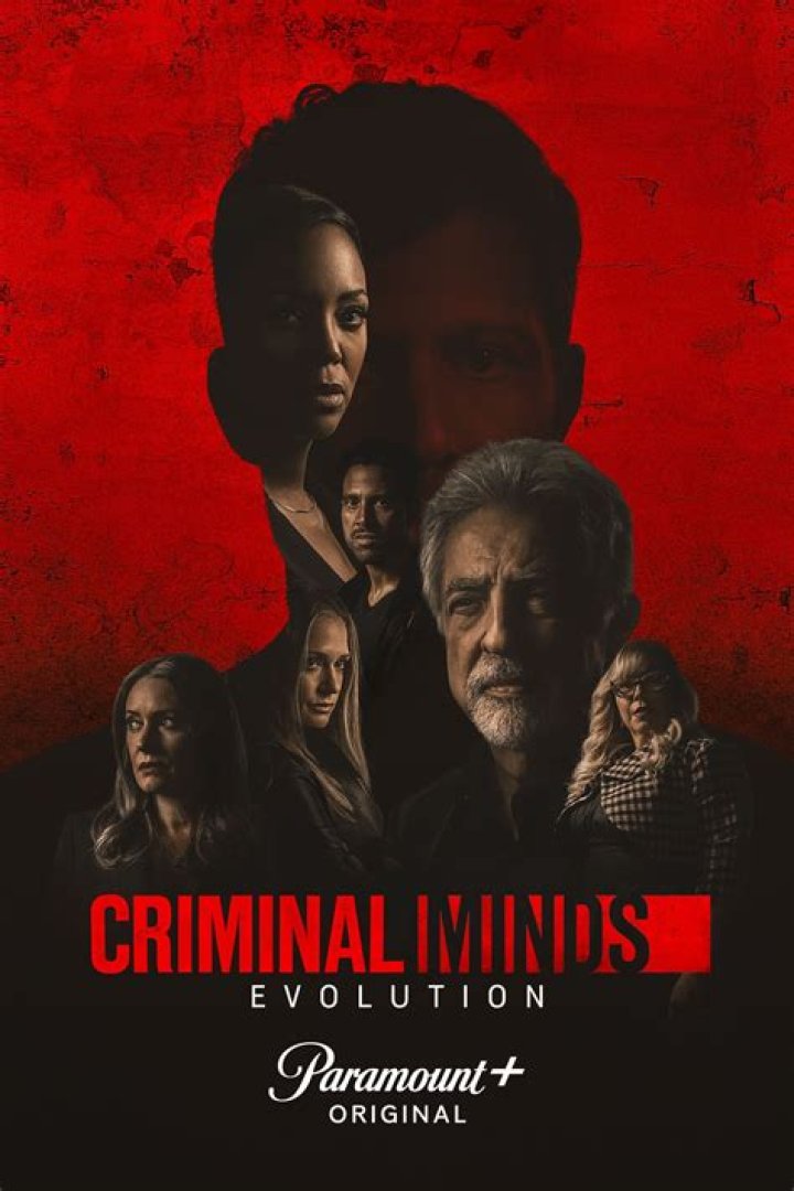 The Heartbreaking Criminal Minds Moment With Rossi And His Ex