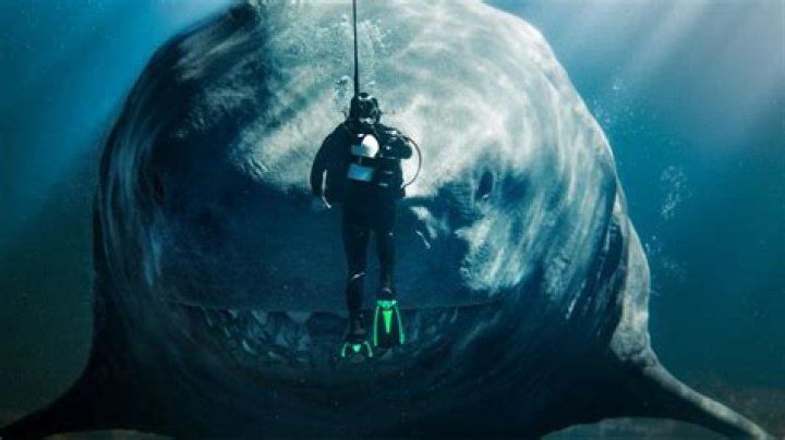The Holiday-Themed Shark Movie You Must Watch After Meg 2