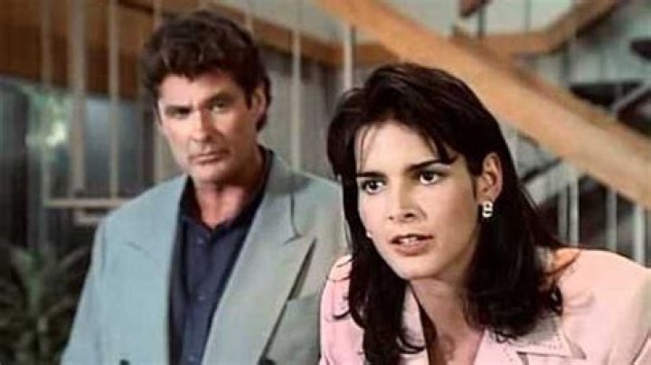 The Inside Story Behind Baywatch, The TV Phenomena That Owned The '90s