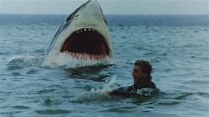 The Most Bizarre Shark Movies From Around The World