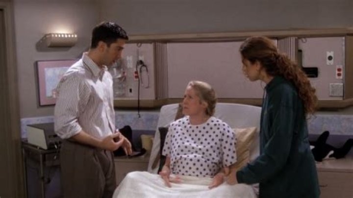 The Ross And Monica Sibling Theory That Changes Everything On Friends