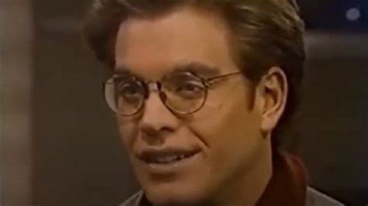 The Transformation Of Michael Weatherly From Childhood To NCIS
