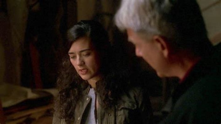 The Truth About Gibbs And Ziva's Relationship In NCIS