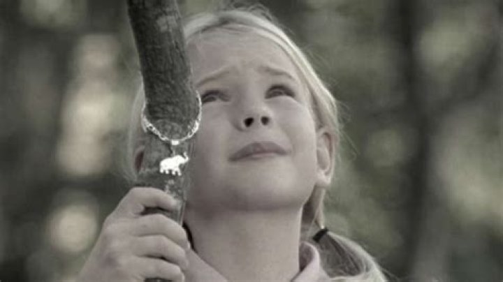 The Untold Truth Of Britt Robertson