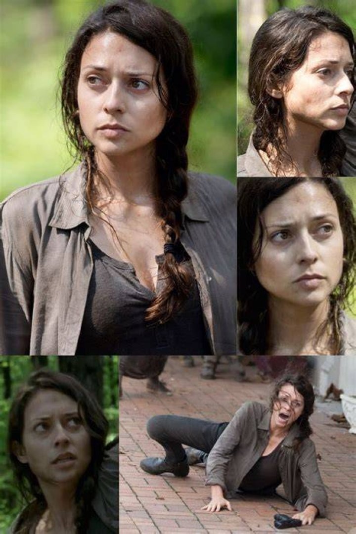 The Walking Dead Alexandria walkers